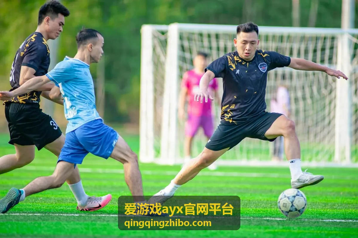 爱游戏ayx官网平台实拍连续片段示例封面