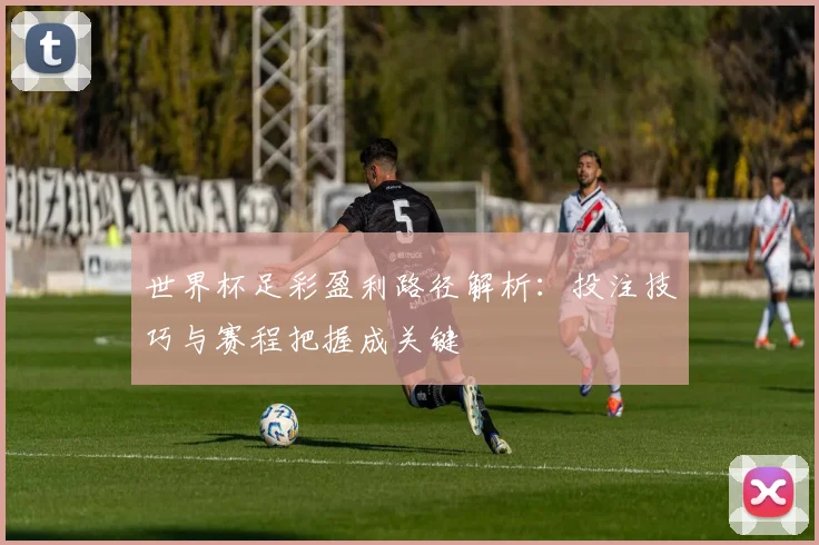 世界杯足彩盈利路径解析：投注技巧与赛程把握成关键