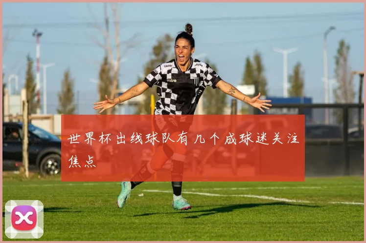 世界杯出线球队有几个成球迷关注焦点