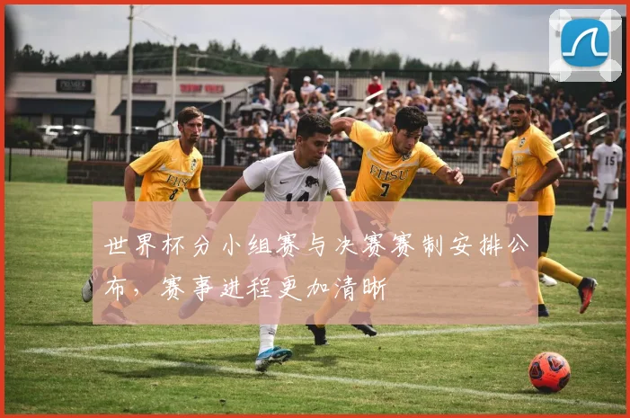 世界杯分小组赛与决赛赛制安排公布，赛事进程更加清晰