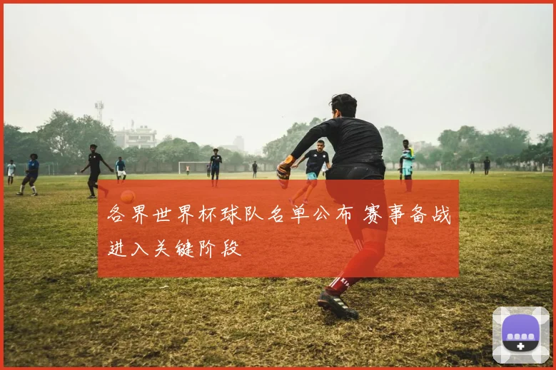 各界世界杯球队名单公布 赛事备战进入关键阶段