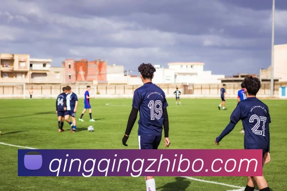 多媒体互动体验